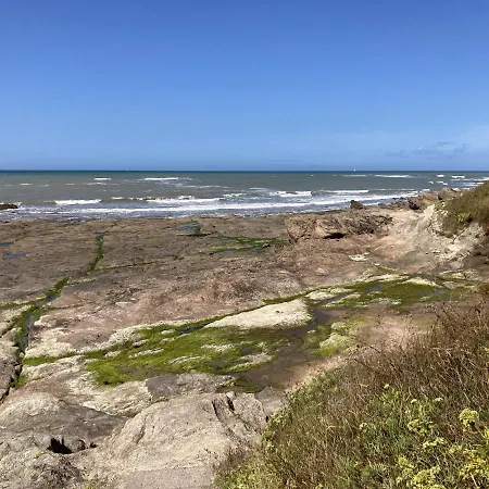 Les Oyats Bretignolles-sur-Mer